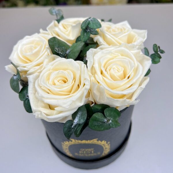 Trvácne ruže Box White in Black