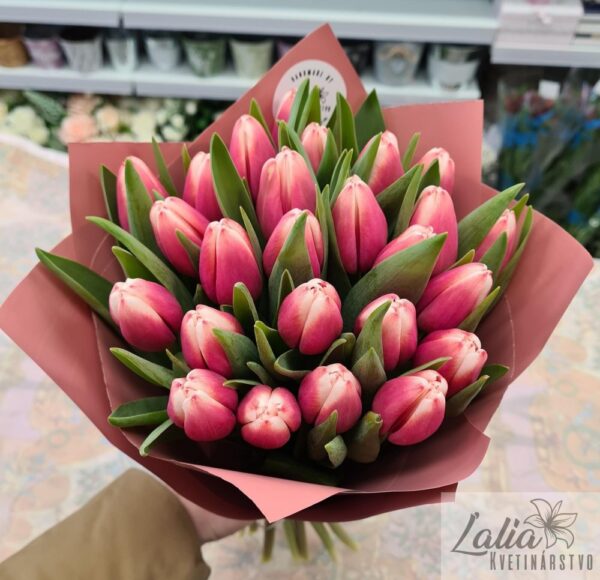 kytica tulipanov