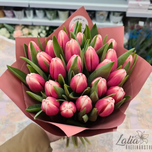 kytica tulipanov