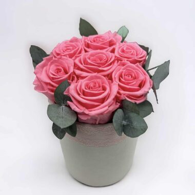 Trvácne ružové ruže v krémovom boxe